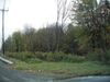 SR 307 & I 380 photo